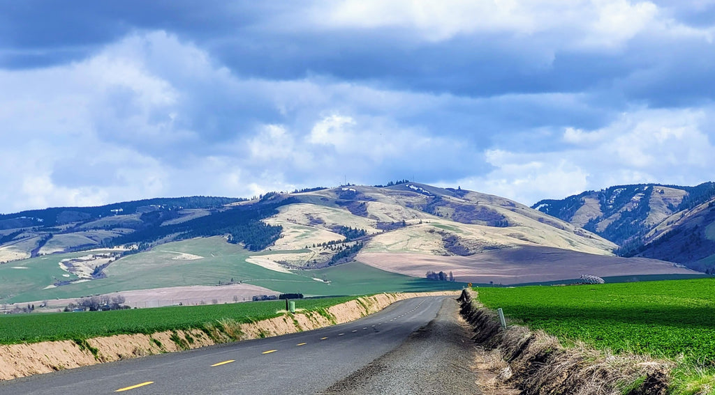 Travel: Go wild for Walla Walla, Washington