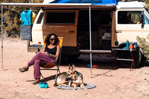 Vanlife with a Dog or Cat: Insider Tips & Advice