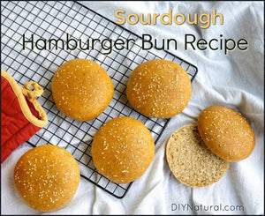 Making a hamburger bun recipe using sourdough blows normal hamburger buns out of the water! These buns are soft and nourishing but are also nice and sturdy.