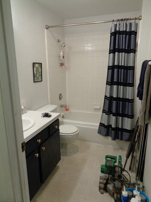 Another Small Home Improvement Project - Main Bathroom Final Details & Reveal