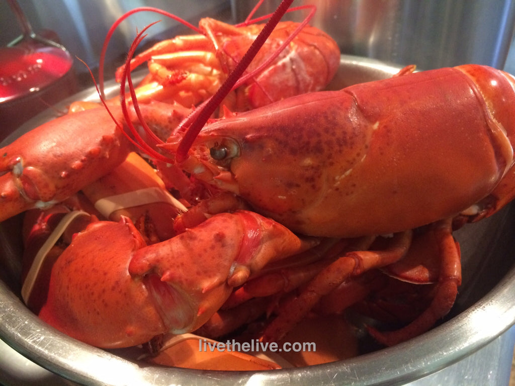 PASTA WITH LOBSTER SAUCE